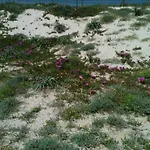 Golfo Dell'asinara Platamona