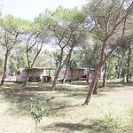 Golfo Dell'asinara Kemp Platamona