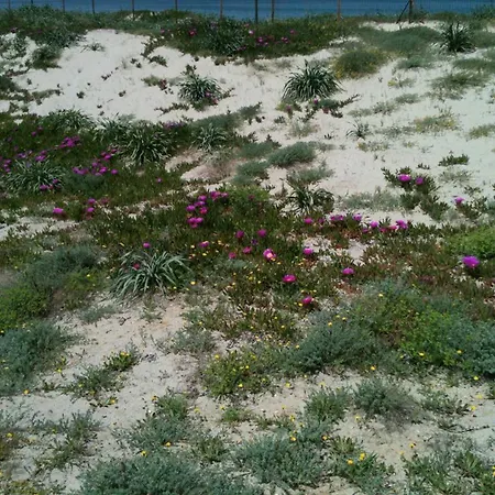 Golfo Dell'asinara Platamona
