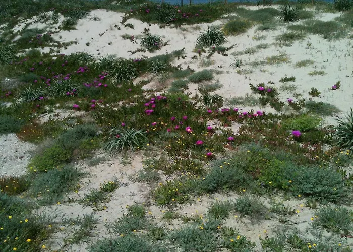 Golfo Dell'asinara Platamona