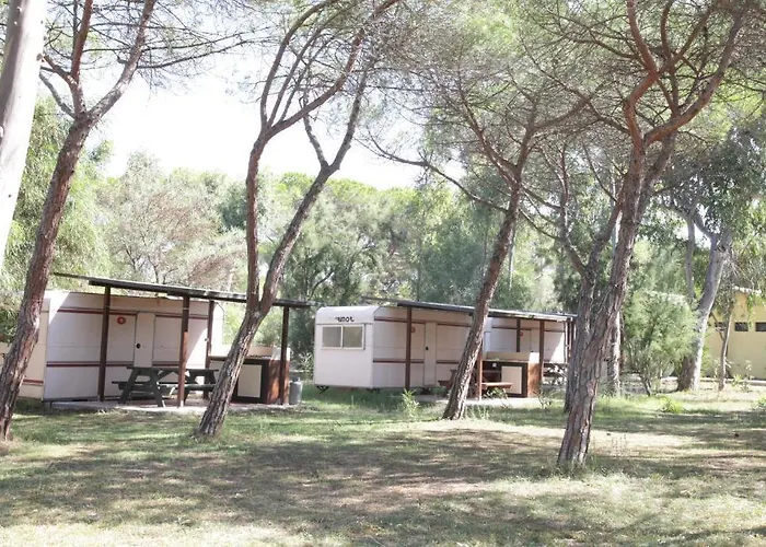 Camping Golfo Dell'asinara 4*